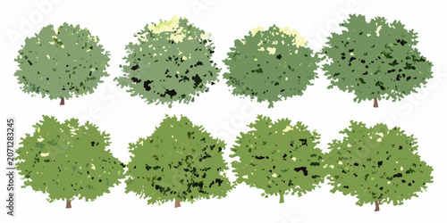 Bilde på lerret Collection of eight watercolor style trees with green foliage on a white backgro