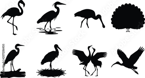 Photos Collection of large bird silhouettes featuring heron, flamingo, crane, and peaco