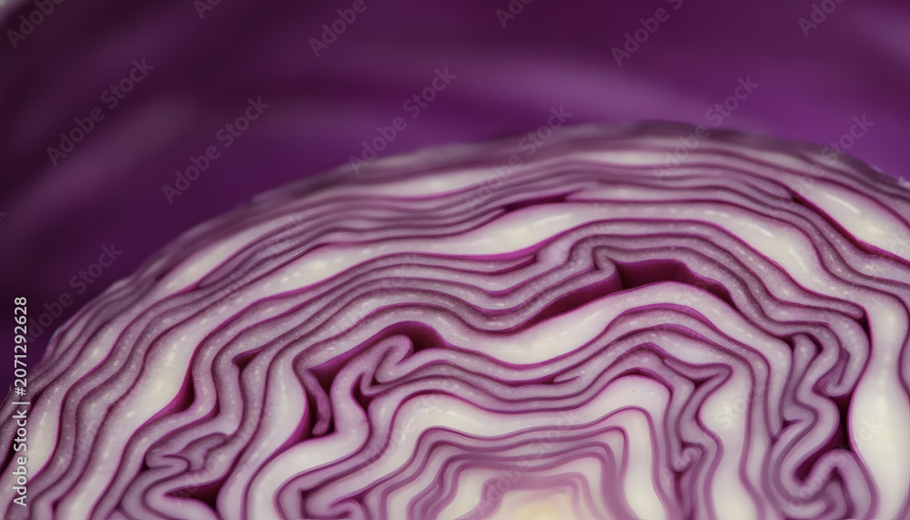 Obraz premium Extreme macro close up of fresh organic red cabbage cross section showing intricate concentric leaf patterns and vibrant purple textures