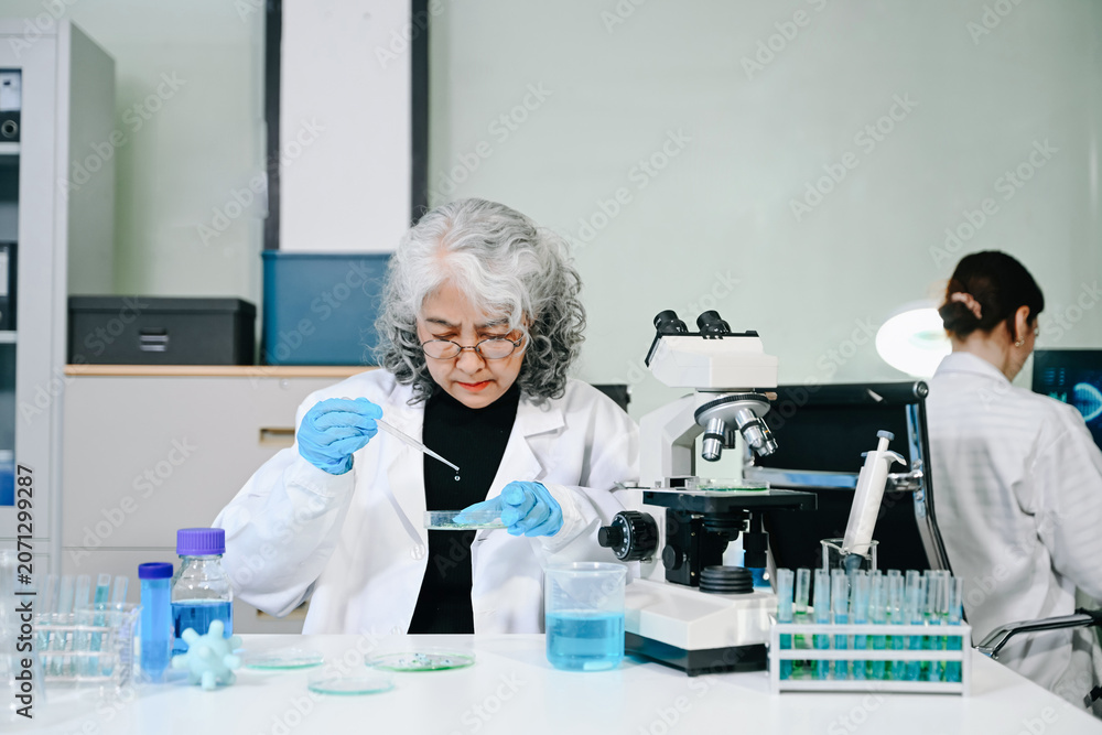 Fototapeta premium Two scientist or medical technician working, having a medical discuss meeting with an Asian senior female scientist supervisor in the laboratory with online reading, test samples and innovation