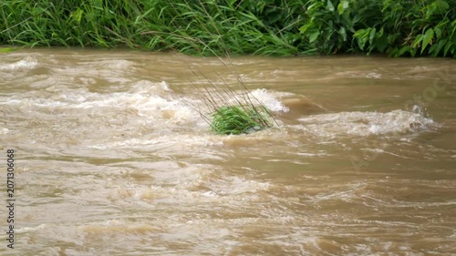 大雨の翌日、増水して濁流となった川