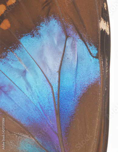 abstract watercolor background