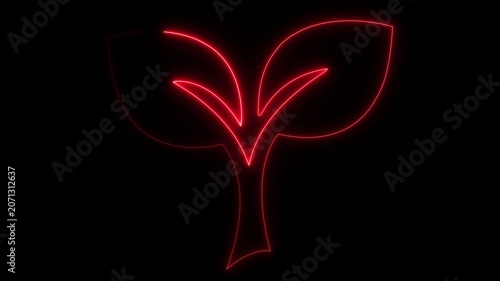 Plant growth continuous one line art 4k animation video on black background