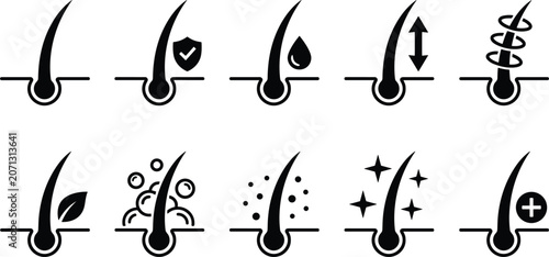 Fotografía Hair follicle strand icon set showing root strength protection moisture growth a