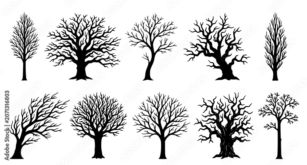 Obraz premium Collection of bare tree silhouettes