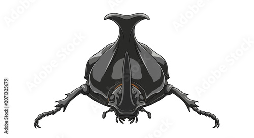 Front view vector illustration of a black five-horned rhinoceros beetle (Eupatorus gracilicornis) showing detailed head horns and legs, isolated on white background for graphic design.