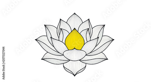 Symmetrical blooming lotus blossom with yellow bud accent