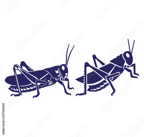 Vector illustration featuring two detailed dark blue silhouette grasshoppers on white background