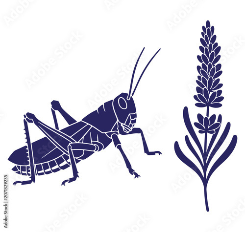 Vector illustration of a grasshopper beside lavender on isolated white background