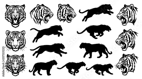 Canvastavla Tiger vector big bundle featuring roaring wild cat heads hand drawn sketches and
