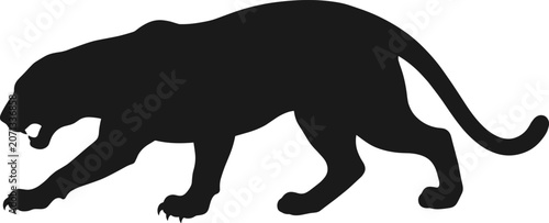 Foto Black panther silhouette crouching and prowling isolated on white background for