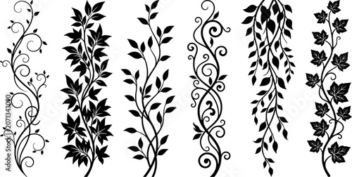 Cuadro en lienzo Set of black floral silhouettes, decorative vine elements with leaves and swirls