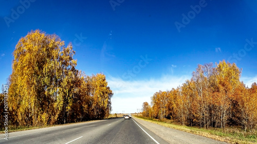 view of the autumn road from the windshield of a suburban car