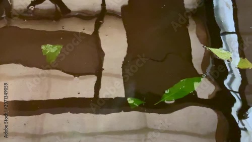 Abstract reflective patterns shimmering across undulating water surface, creating dynamic textures, ripples and fluid natural motion in an artistic background