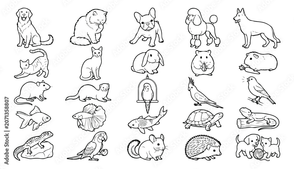 Fototapeta premium Rare Animals Line Art Coloring Book - Wildlife, Birds, Insects, Marine Life & Endangered Species Vector Illustrations Megaset