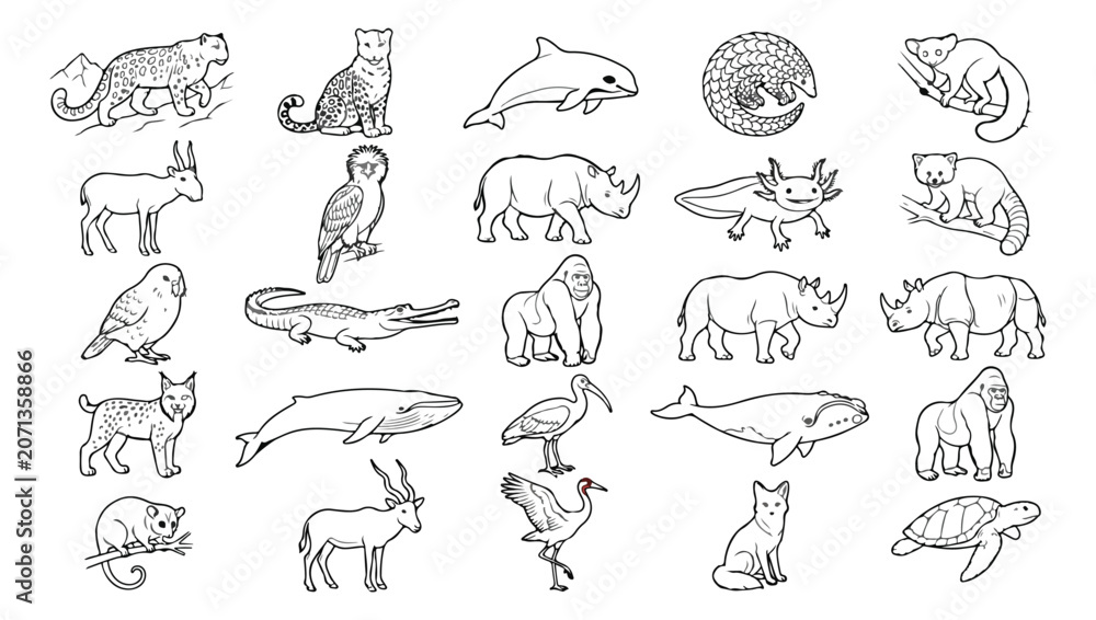 Fototapeta premium Rare Animals Line Art Coloring Book - Wildlife, Birds, Insects, Marine Life & Endangered Species Vector Illustrations Megaset