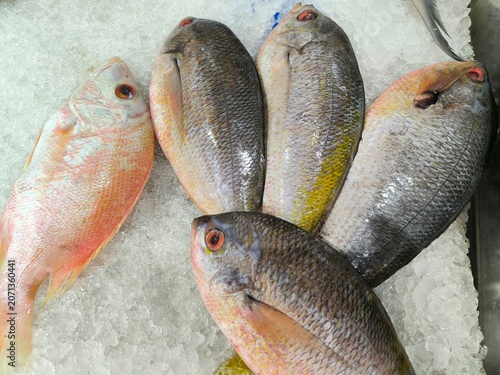 Tableau sur toile Fresh snapper fish arranged on ice with natural texture.