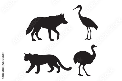 Animal Silhouettes Wolf Crane Cougar And Emu On White Background