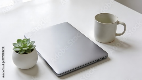 Clean and minimalist workspace with a closed laptop, a mug, and a small succulent plant.