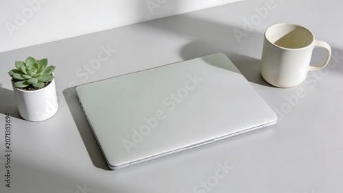 Minimalist workspace with closed silver laptop computer and succulent on grey desk.