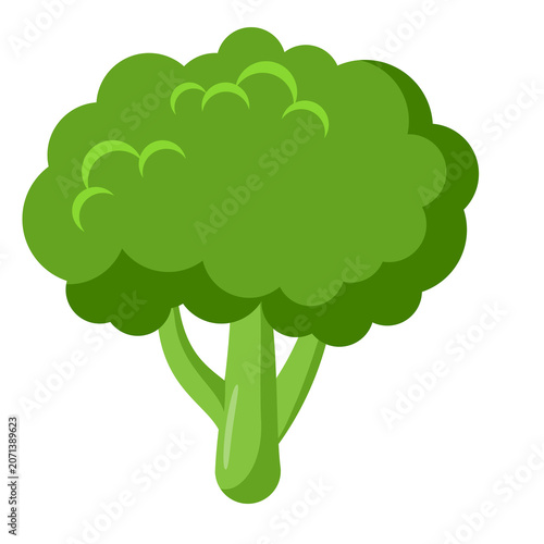 Fresh broccoli floret vegetable illustration