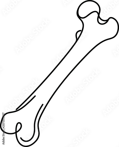 Photos Continuous one line drawing of a human femur bone.