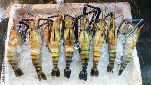 Foto Fresh giant river prawns displayed on crushed ice at Ang Sila seafood market, Chonburi, Thailand
