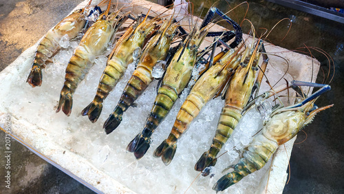 Slika na platnu Fresh giant river prawns displayed on crushed ice at Ang Sila seafood market, Chonburi, Thailand