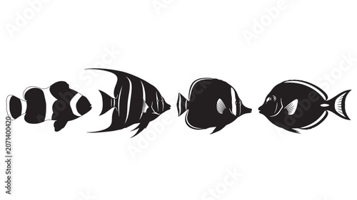 Black and white illustration of various tropical fish species in profile.