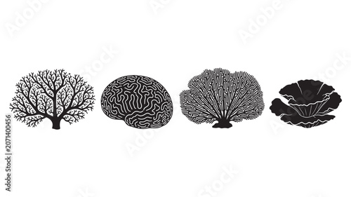 Four distinct stages of tree growth and seasonal transformation illustrated.