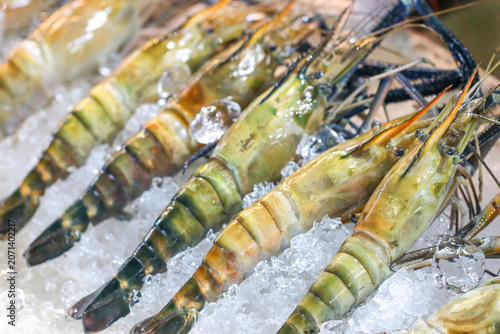 Obraz na plátně Fresh giant freshwater prawns arranged diagonally on crushed ice at a seafood wet market display