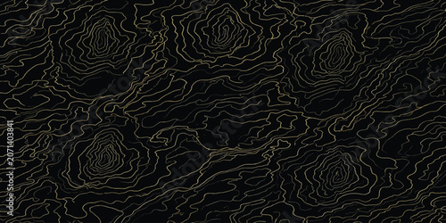 Fotografía Abstract dark background with thin golden topographic lines topographic abstract