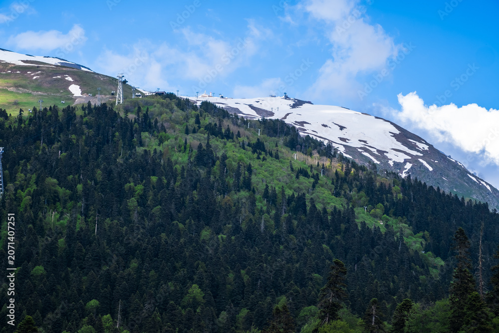 Fototapeta premium Snow-covered mountain peak rises above a vibrant green forest under a clear blue sky, capturing the beauty of nature in spring