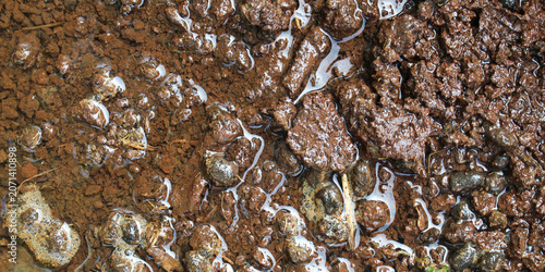 Schilderij op canvas wet and muddy soil texture, moist soil surface after rain