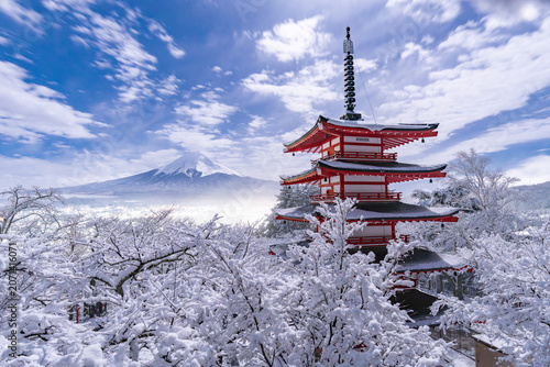 Canvas-taulu 新倉山浅間公園から望む富士山と忠霊塔の雪景色