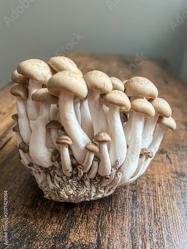 Brown beech mushroom on wooden table