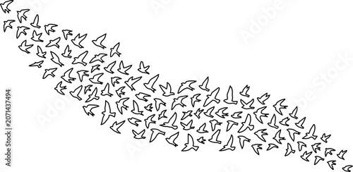 Foto Flying birds vector illustration, a flock of black outline birds in dynamic moti