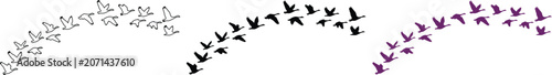 Fotografie Flying Birds Flock Vector Set, abstract minimalist bird silhouettes in flight, b