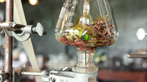Gin Distillation Alcohol Laboratory Glassware Botanical Seed Leaf Aromatic Scientific Equipment and Glass Flask with Botanicals Herbs Spices Citrus Peel Creative Modern Process Flavor Extraction