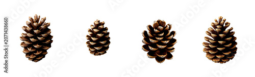 A close-up, studio shot features a single, large pinecone against a stark transparent background.