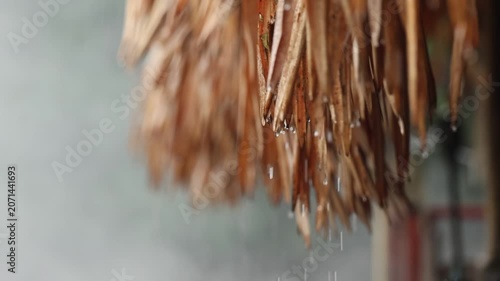 Thatched roof rain water droplet brown natural material closeup wet blurred background outdoor texture peaceful tropical rustic shelter weather eco friendly straw detail calm serene rainy moisture