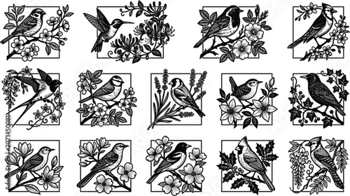 Foto Vintage engraved bird illustrations collection with floral frames black and whit