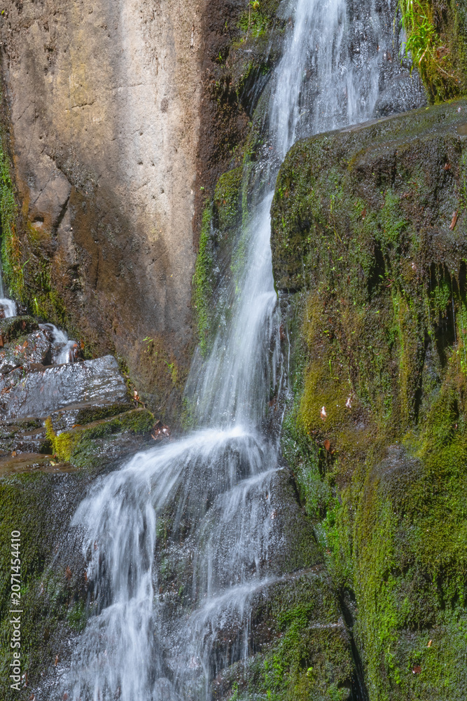 Obraz premium Refreshing stream flowing through a moss-covered landscape.