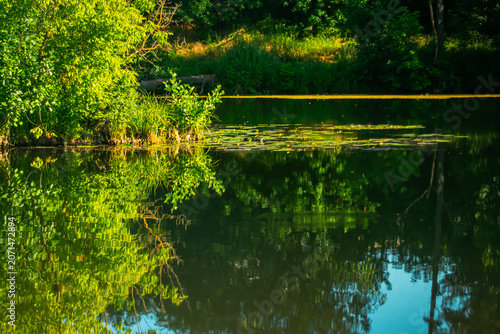 Early morning on a small river in a city park.