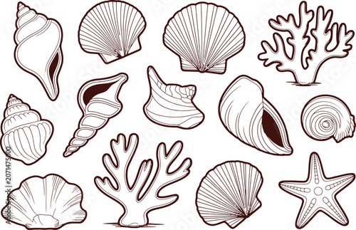 Collection of Seashells and Marine Life Sketches Architectural Drawing CAD Design