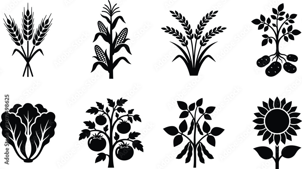 Fototapeta premium Agricultural Crops and Farm Produce Silhouette Icons Set for Organic Food and Cultivation Designs