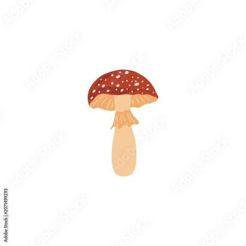 Fényképezés Hand-drawn picture of a fly agaric mushroom