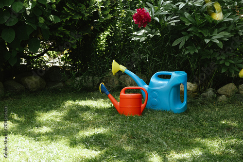 Gardening, summer or outdoor maintenance. Two colorful watering cans on lush lawn in backyard garden