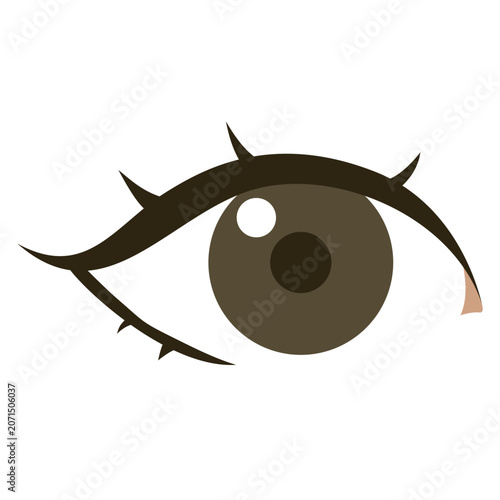 Illustration Eye Anatomy
