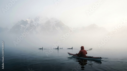 Kayaker paddling in a misty mountain fjord surrounded by a pod of orca whales